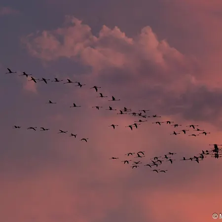 Maison d'hôtes Residenza Luciani 3*