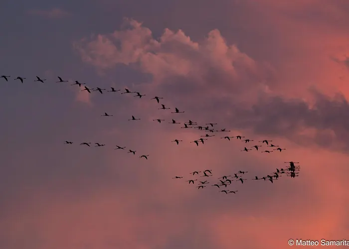 Гостевой дом Residenza Luciani 3*